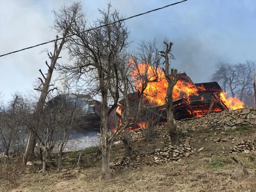 Rize'de Gölyayla köyünde çıkan yangına müdahale devam ediyor: 9 ev zarar gördü 19