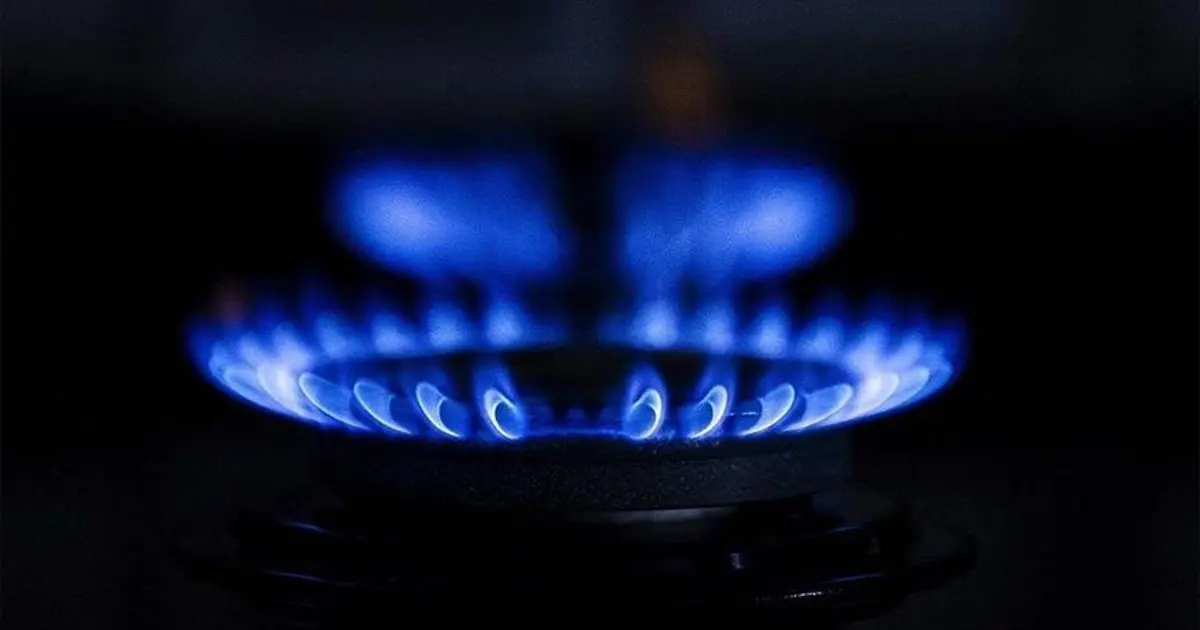 Bakan Bayraktar'dan açıklama: Doğalgaz ve elektriğe zam gelecek mi?