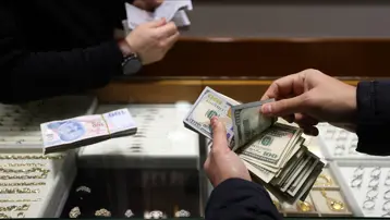 Dolar rekorun kıyısında