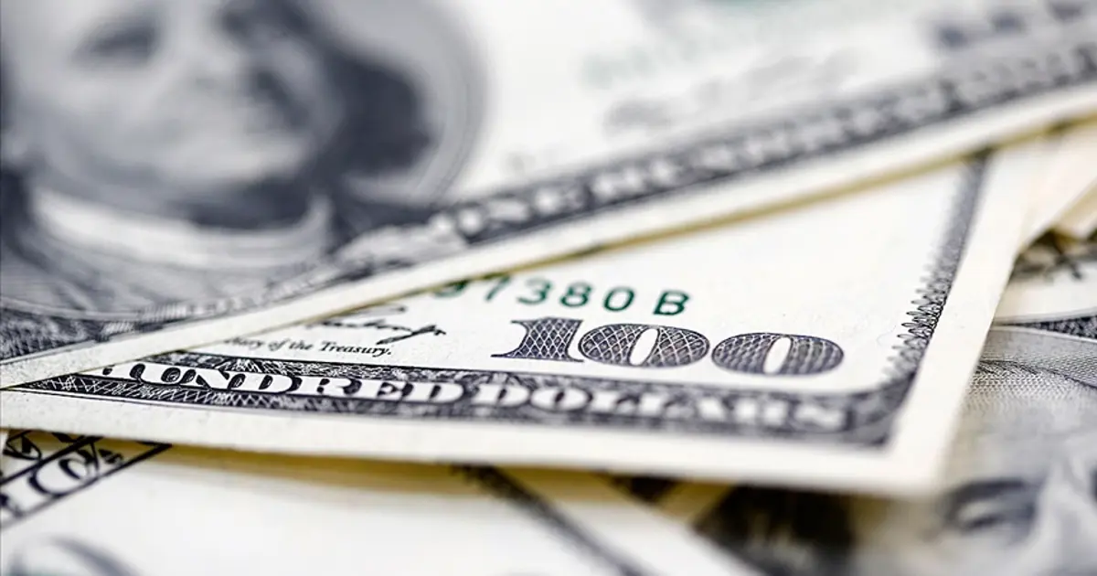 Dolar en yüksek seviyeyi gördü