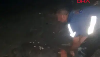 Sahilde yönünü şaşıran caretta carettayı vatandaşlar denize ulaştırdıHatay'ın Samandağ ilçesinde sahilde yönünü şaşırarak yola çıkan caretta caretta, vatandaşların müdahalesiyle denize ulaştırıldı.