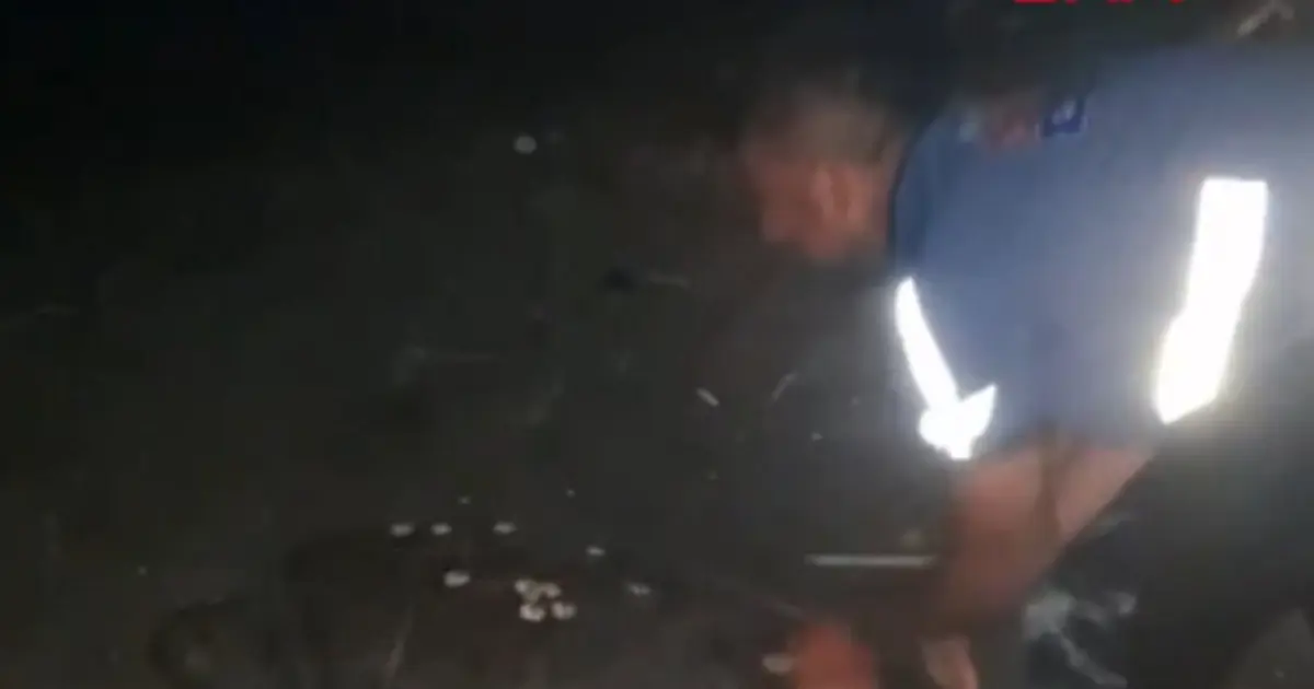 Sahilde yönünü şaşıran caretta carettayı vatandaşlar denize ulaştırdı
