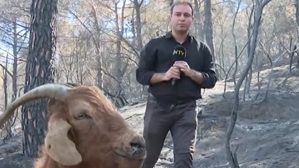 Kahreden an: Yangın şokunun etkisiyle hareket bile edemiyor