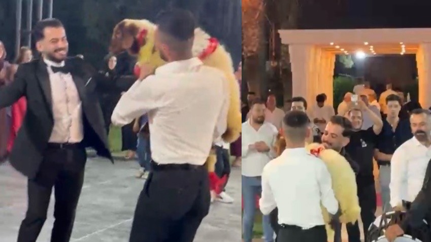 Düğünde damada ezber bozan hediye. Altın beklerken kucağında onu buldu