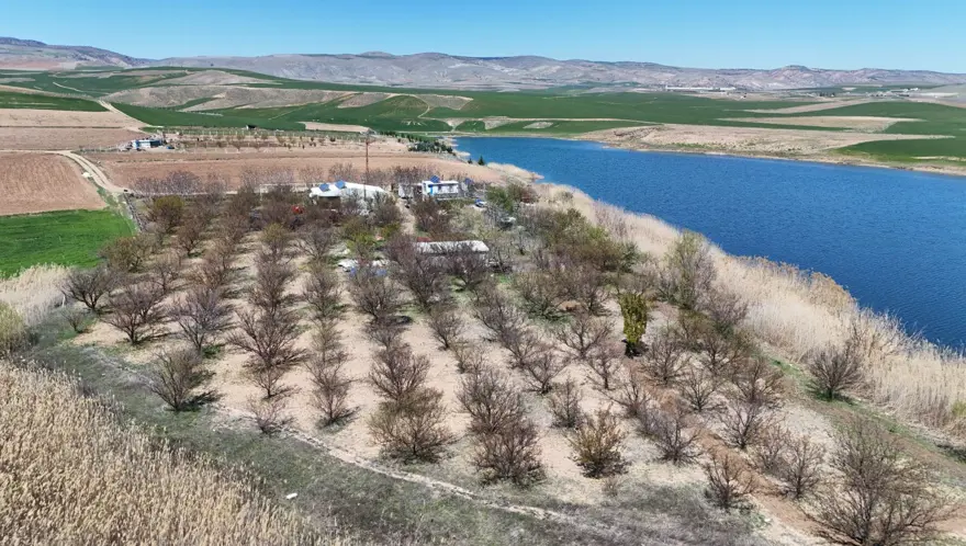 Zirai don, meyve bahçelerinde ürün bırakmadı: "22 yıldır ilk kez bu kadar şiddetli oldu 3
