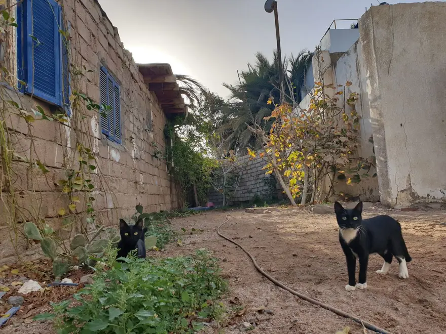 ÇALIŞMA HAKKINDA 6