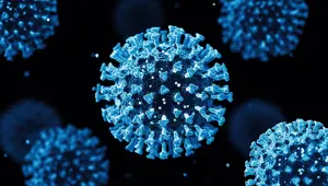 Araştırma: Hindistan varyantı, İngiltere varyantından yüzde 60 daha bulaşıcı