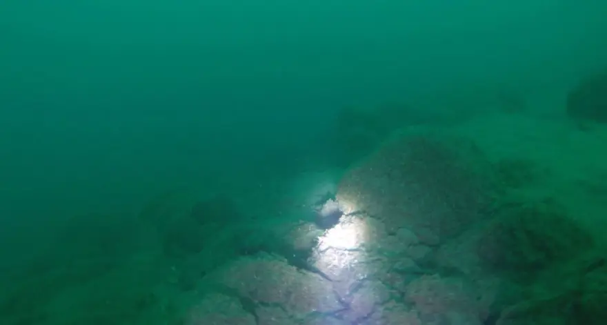 “DALGIÇLARIMIZLA BERABER ARAŞTIRMA YAPTIK” 5