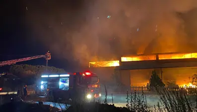 Manisa'da ahşap fabrikasında yangın