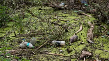 Spermlere zarar veriyor: Plastiklerdeki tehdit