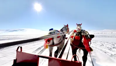 Buzla kaplı Çıldır Gölü'nde atlı kızakla gezinti keyfi