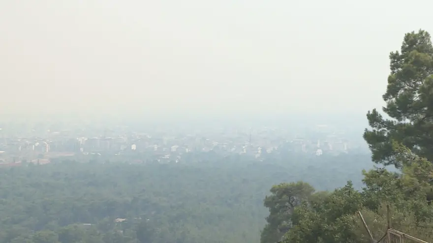 Antalya Manavgat'ta orman yangını 16