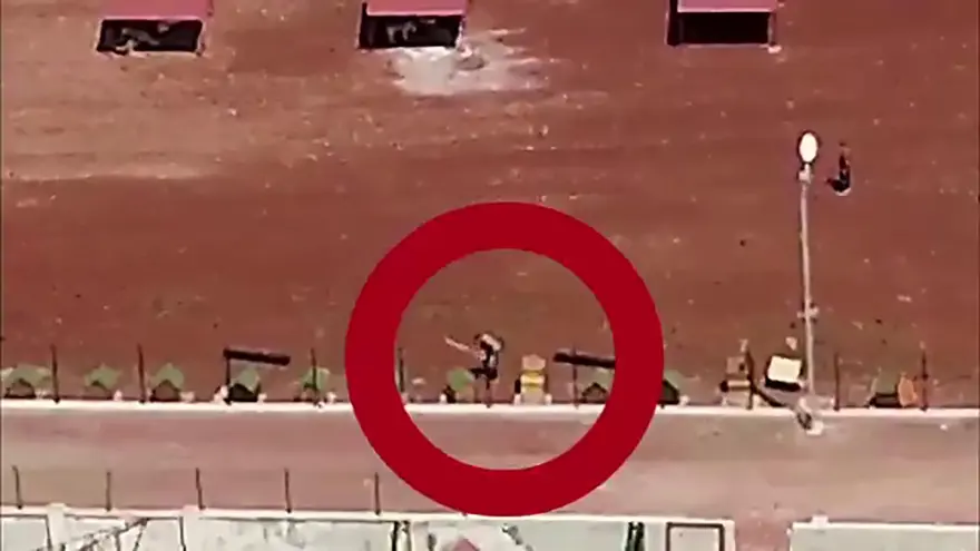 Şiddet kameralarda: Barınaktaki köpekleri kürekle dövdü! 