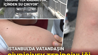 İstanbul'da "sivrisinek" tedirginliği