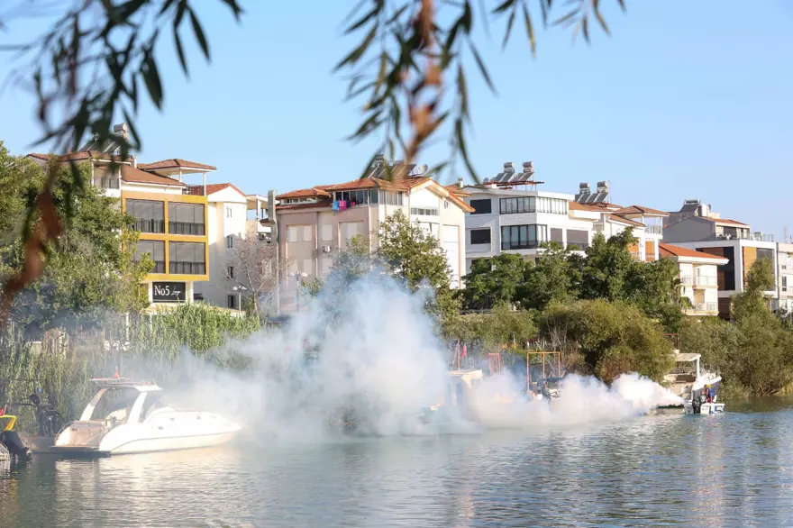 İstilacı tür olarak biliniyor: Yumurtaları 6 ay kuraklığa dayanabiliyor 3