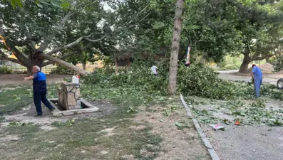 Piknikte korku dolu anlar: Ağacın kırılan dalı üzerlerine düştü