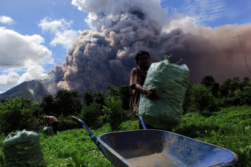Sinabung binlerce kişiyi evinden etti 22