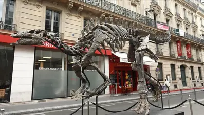 Fransa'da 150 milyon yıllık dinozor iskeleti açık artırmayla satılacak