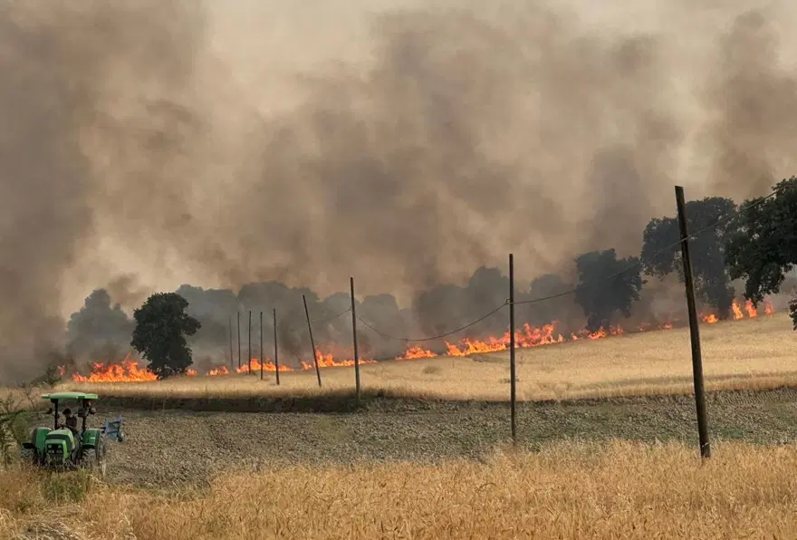 UŞAK'TA ORMAN YANGINI 1