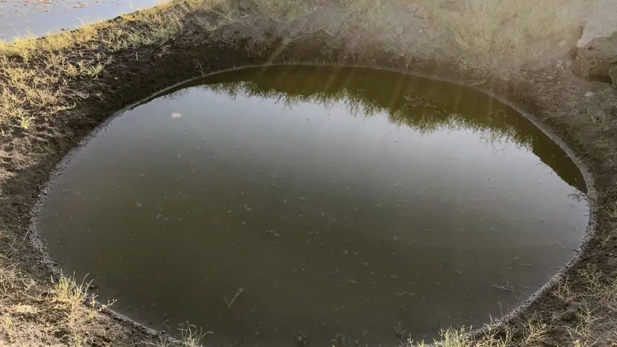 Ağrı Dağı eteklerindeki renkli sulak alanlar ilgi çekiyor 7