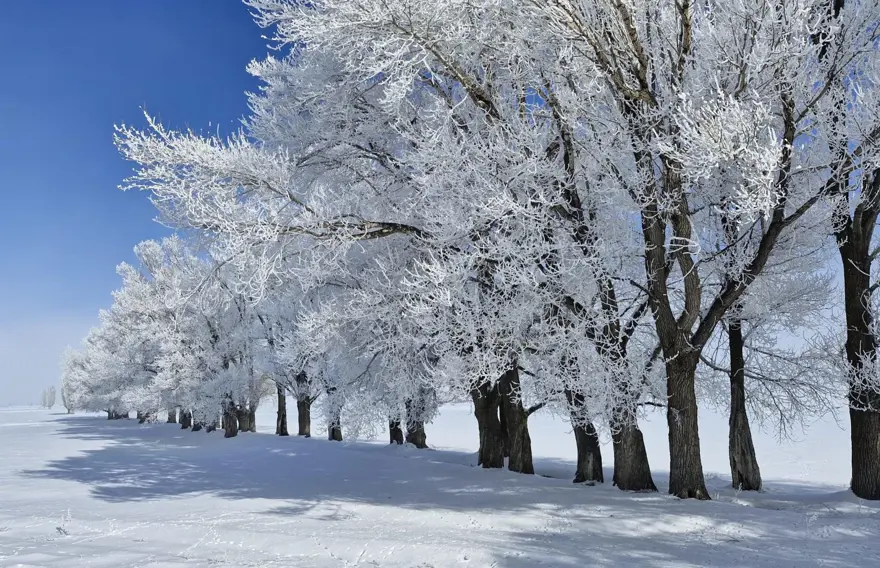 Batıda bahar doğuda zemheri soğukları! Termometreler eksi 23,8 dereceyi gösterdi 