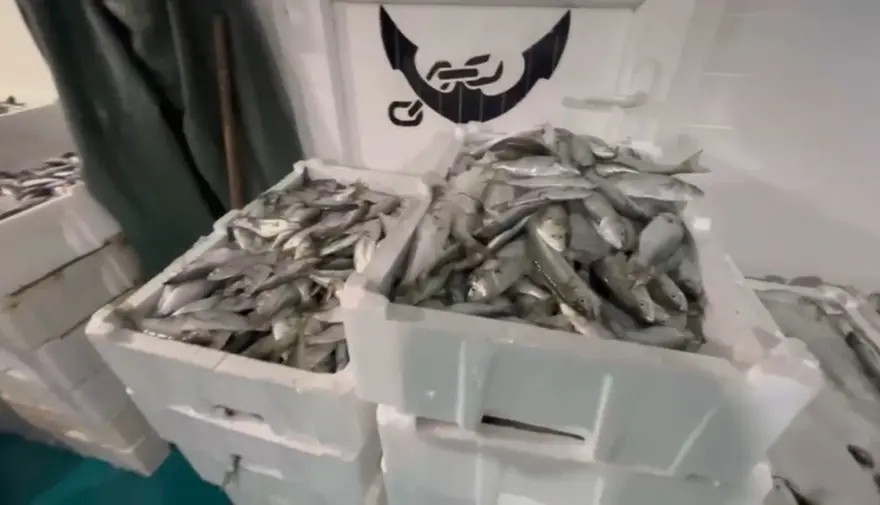 Kaçak lüfer avına binlerce lira ceza 1