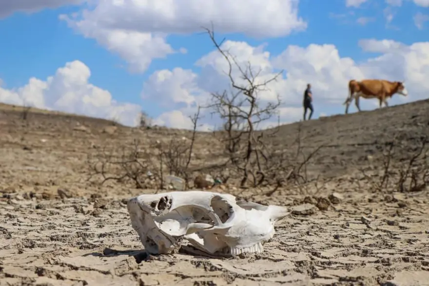 Baraj kurumak üzere! Sular çekildi, eski yol ortaya çıktı 