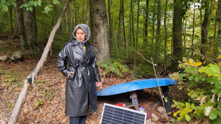 3 yıl önce kurmuştu: İlk hasadını ayılara kaptırdı 5