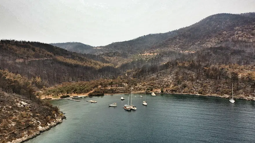 Bodrum ve Milas'ta yanan alanlar havadan görüntülendi 7 Bodrum ve Milas'ta yanan alanlar havadan görüntülendi 7