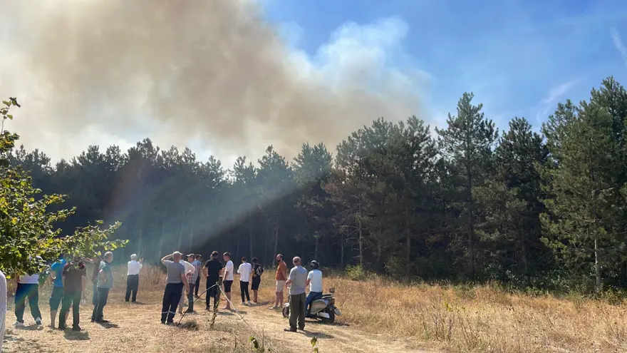 Sakarya'da orman yangını: Ekipler olay terinde 1
