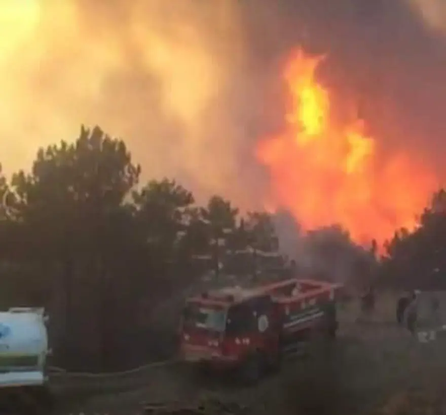 Çorum’da orman yangını 1 Çorum’da orman yangını 1