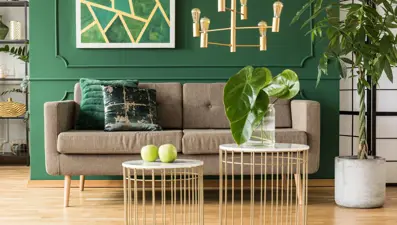 Yeşil renk dekorasyonda nasıl kullanılır?
