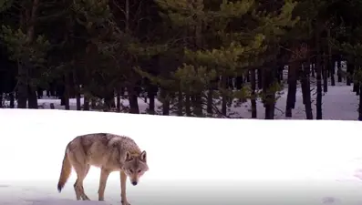 6 ayda Kars ile Edirne arasındaki mesafeye yakın yol yürüdü