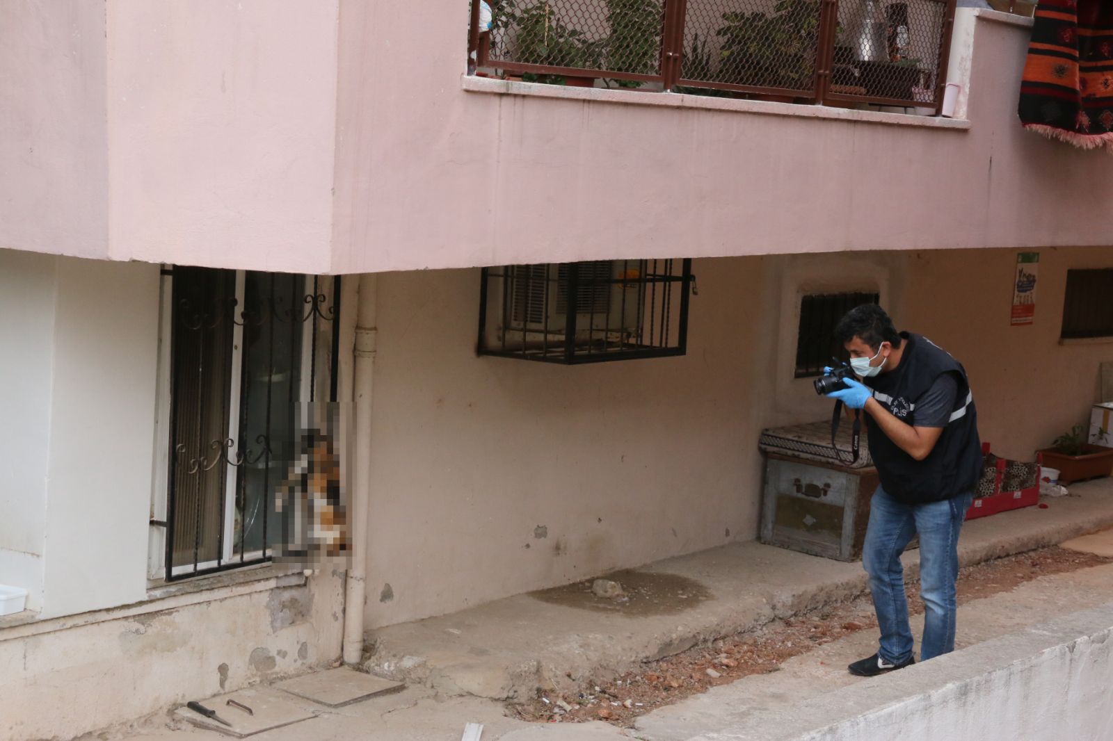 Hayvansever kadına gözdağı: Beslediği kediyi öldürüp camına astılar