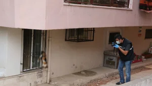 Hayvansever kadına gözdağı: Beslediği kediyi öldürüp camına astılar Hayvansever kadına gözdağı: Beslediği kediyi öldürüp camına astılar