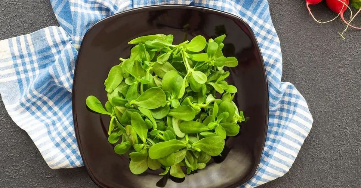 Gang bang cum porno Gozal etuk uy qurilishi porno