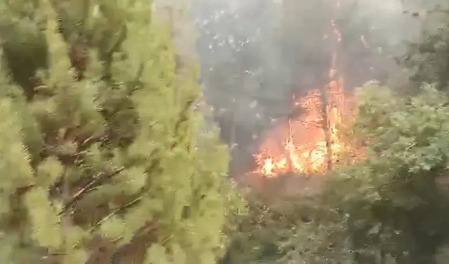 Bolu Göynük'te orman yangını 