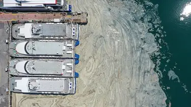 Marmara Denizi'nde 450 farklı nokta müsilaj incelemesi: Bu seneki manzarayı arayacağız