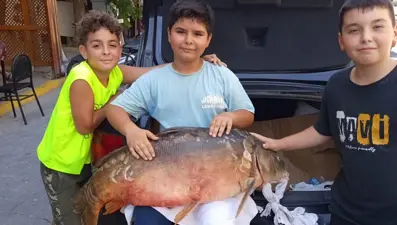 Tekirdağ'da ağlara takıldı: Tam 38 kilo ağırlığında