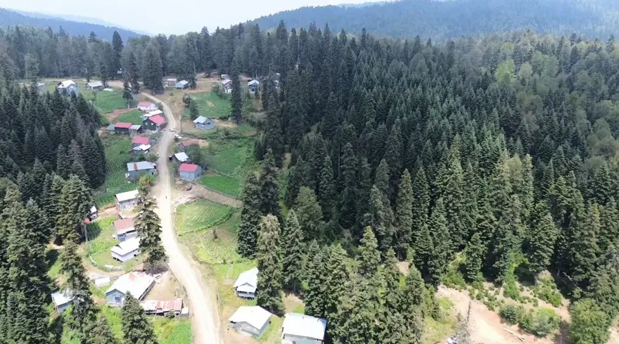 Sıcak havadan bunalan oraya koşuyor! En sıcak günlerde bile 13 derece 5