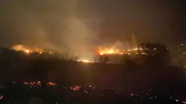 Balıkesir'de orman yangını