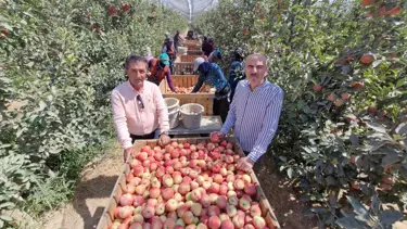 Karaman'da zirai don etkisi: Elma hasadı buruk başladı