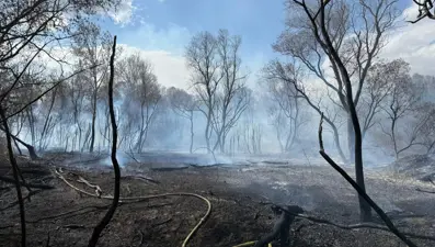 Büyükçekmece'de otluk alanda yangın