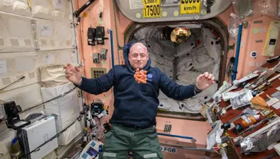 Eski astronot Scott Kelly NFT dünyasında: Ukrayna projesi 500 bin dolara satıldı