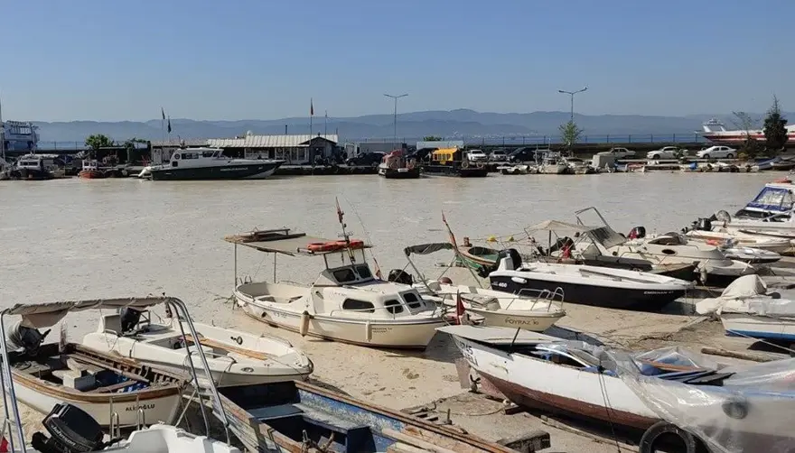 Deniz salyası (müsilaj) nedir, neden oluşur? İşte müsilajın nedenleri 7