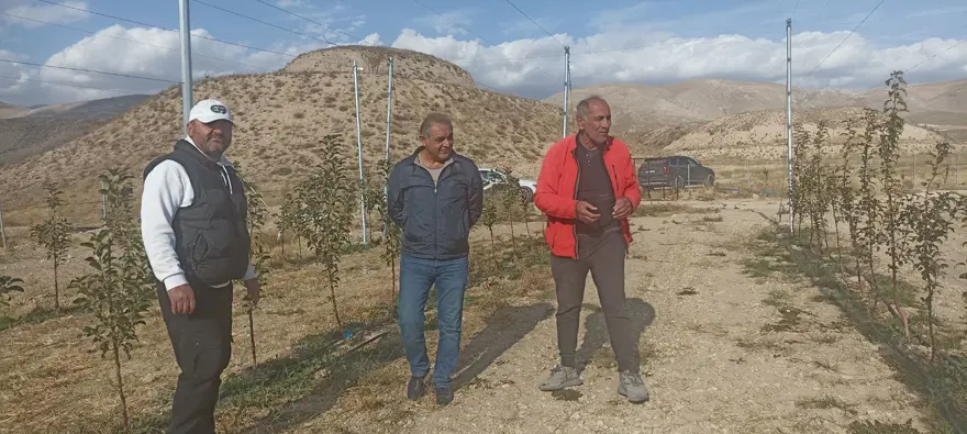 "BUNLAR KADİM ELMALAR" 2