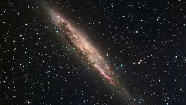 ABD'li gökbilimci araştırdı: İnsanlar evrende bir istisna olabilir