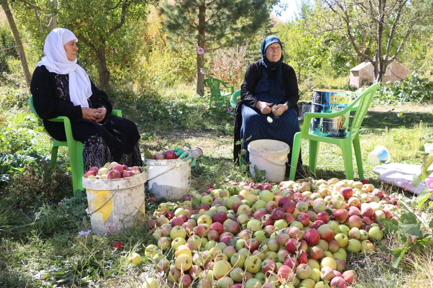 25 yıllık bahçesinden 200 ton çıktı: Gelen taleplere yetişemiyor 5