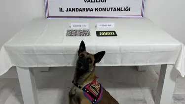 Aile boyu uyuşturucu satıcısı çıktılar