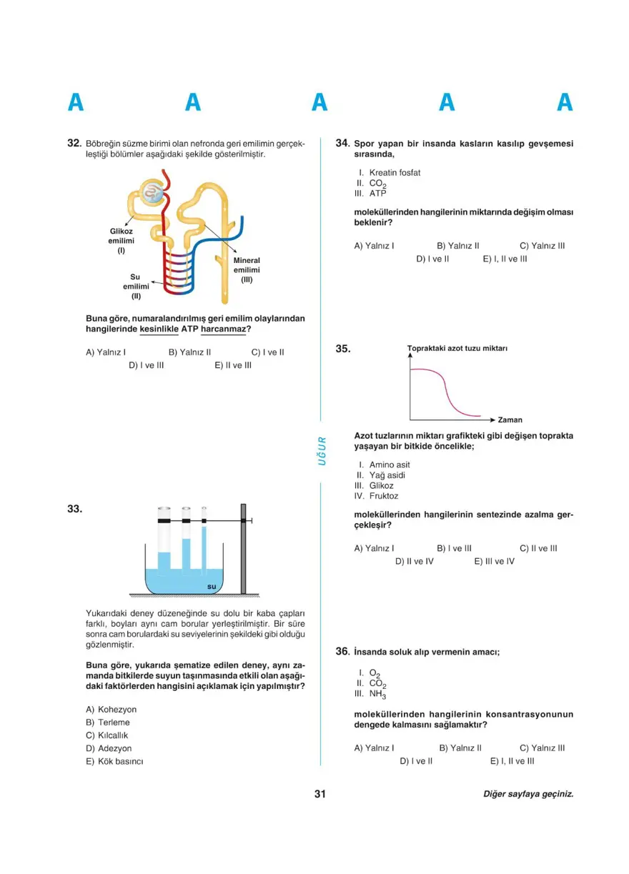 Uğur Okulları YKS - AYT deneme sınavı 30 Uğur Okulları YKS - AYT deneme sınavı 30